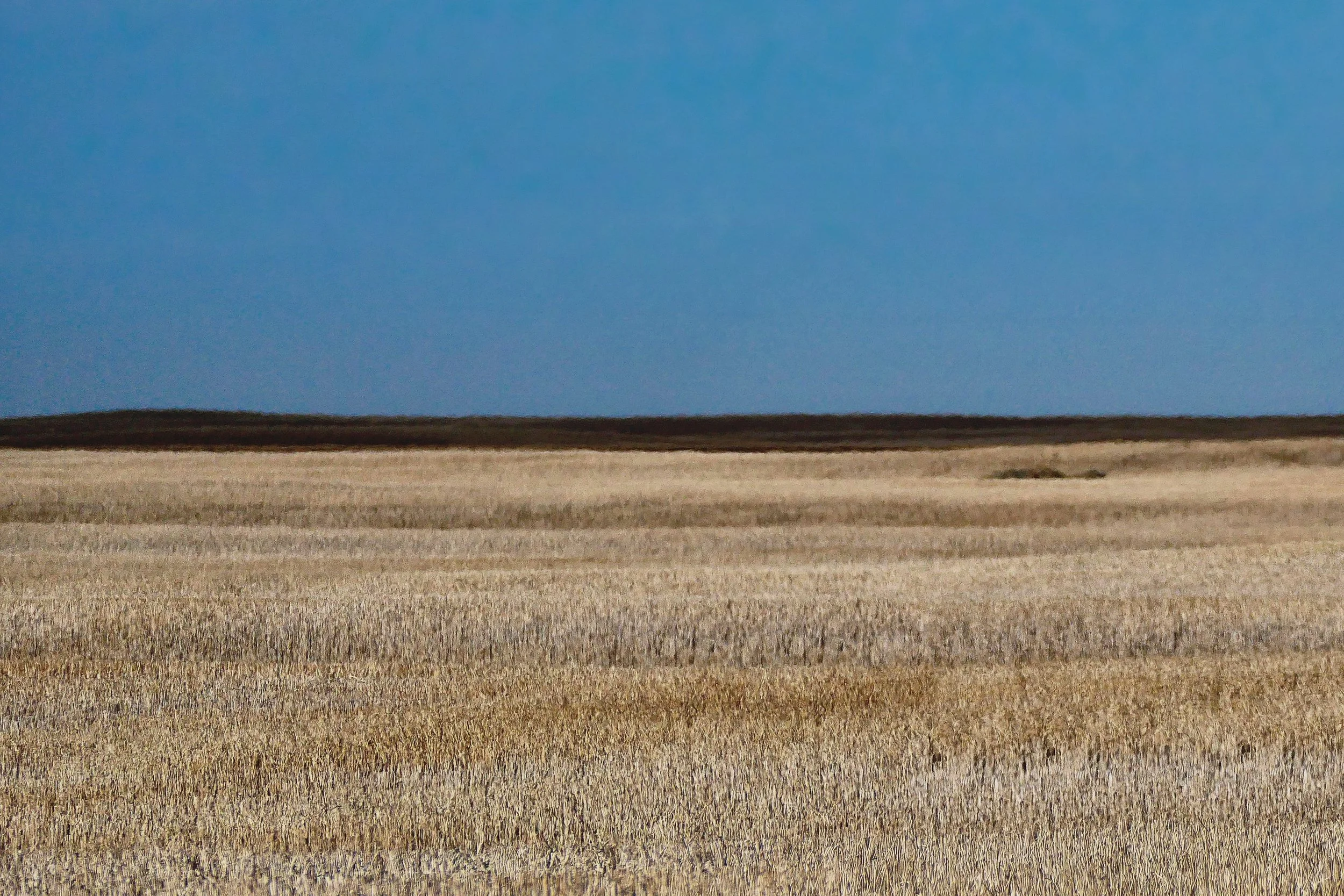 _260408_Prairie2_18x12.jpg