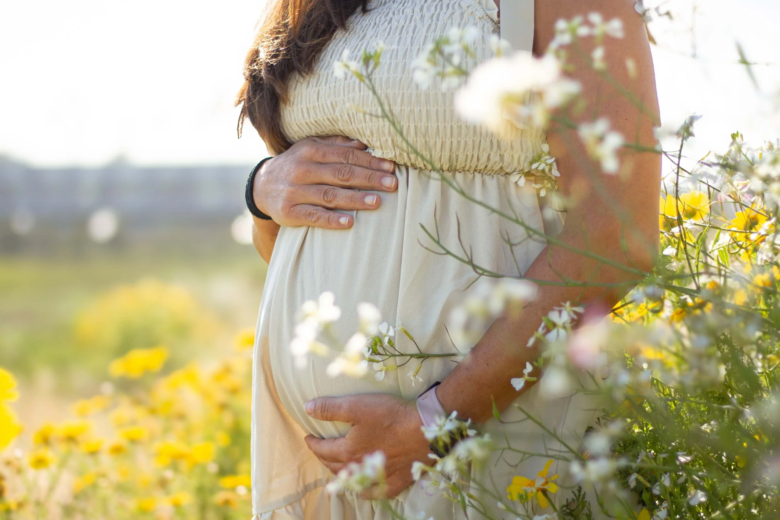 Sarah eddlemon maternity photography knoxville tn (1).jpg