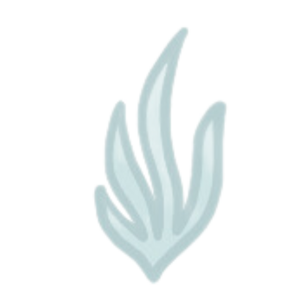 OHTP blue seaweed brand mark