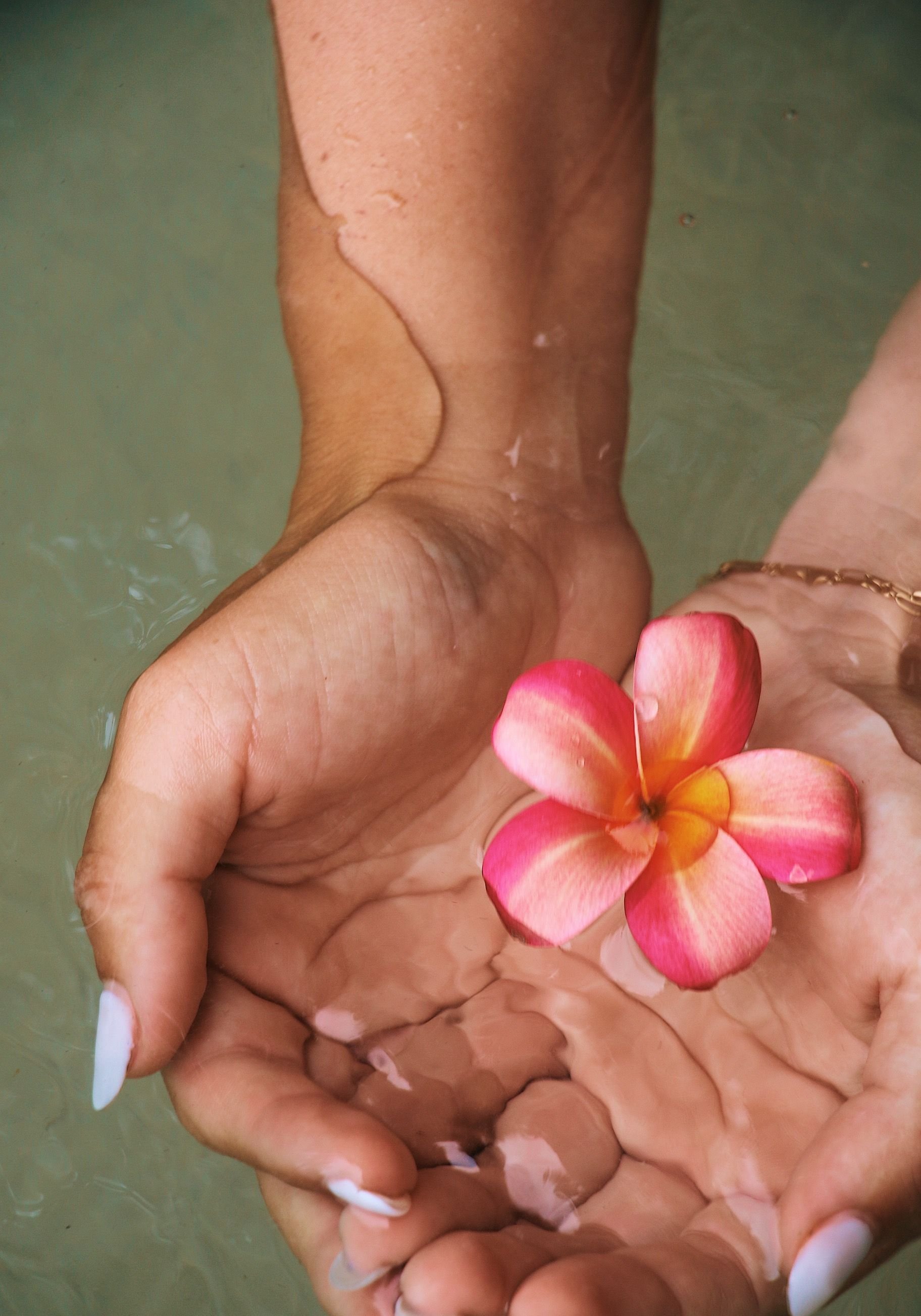 Two hands holding a pink tropical flower in the light green ocean water