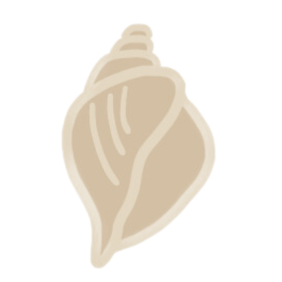 OHTP beige conch shell brand mark