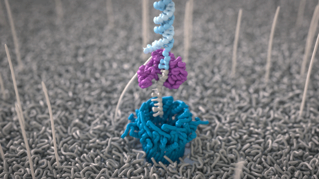 A molecular model showing a blue, pink, and purple structure surrounded by a gray textured surface with toothpick-like supports.