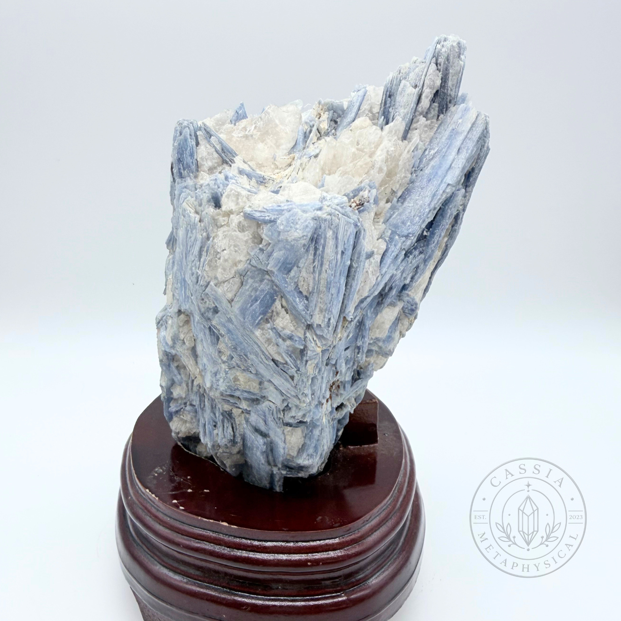 BLUE-KYANITE-IN-QUARTZ-MATRIX _ RAW COLLECTOR SPECIMAN-2.png