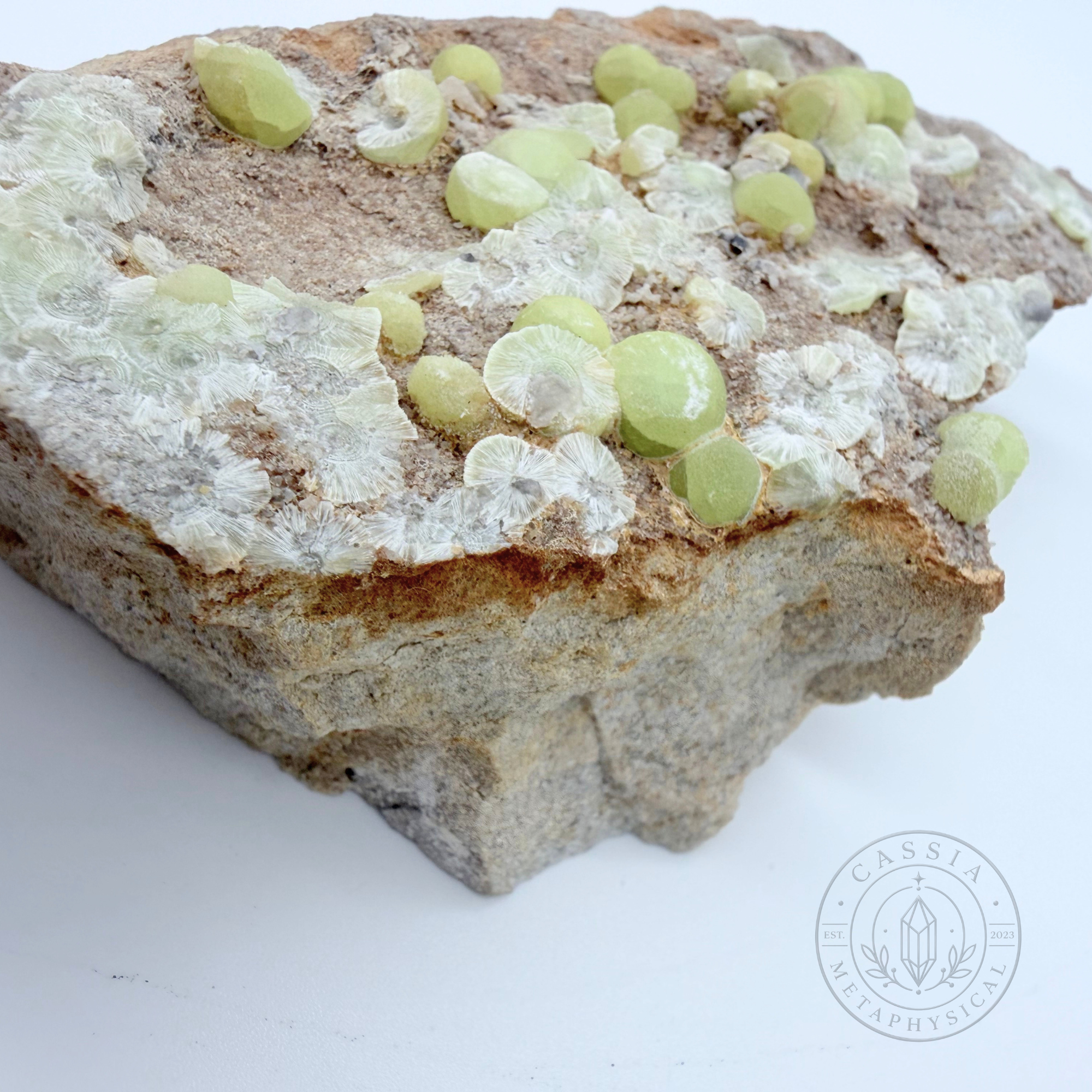 RAW-YELLOW-WAVEITE-1.png