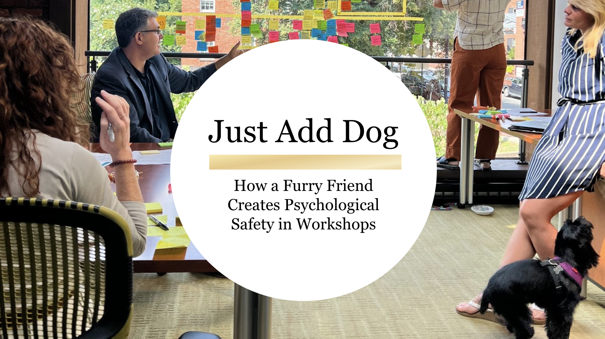 Just Add Dog: How a Furry Friend Creates Psychological Safety in Workshops