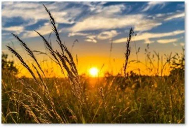 Midsummer Morning 2022