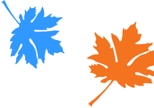 Big Leaf Nursery leaf graphic