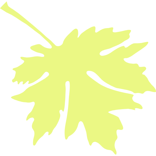 Big Leaf Nursery leaf graphic