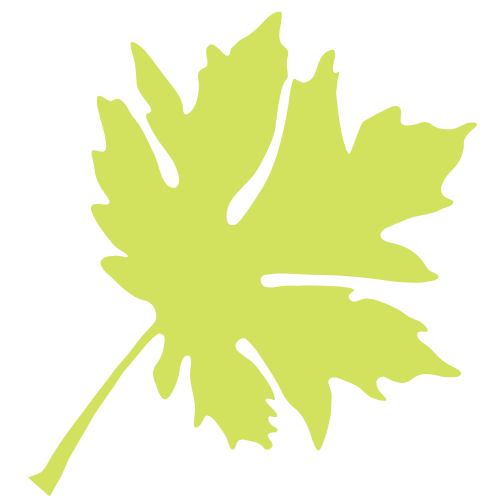 Big Leaf Nursery leaf graphic