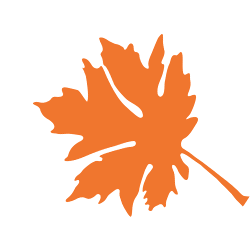 Big Leaf Nursery leaf graphic