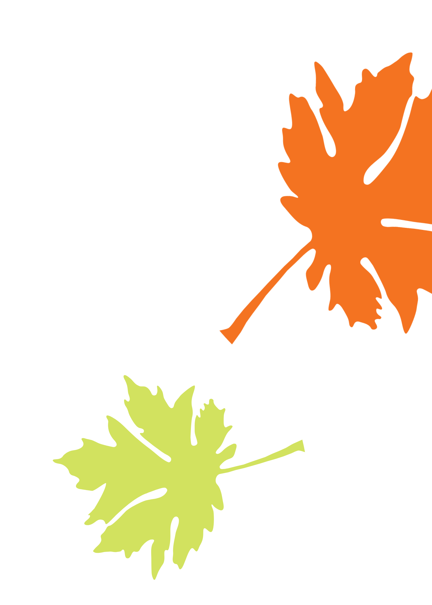 Big Leaf Nursery leaf graphic– Bellingham, WA