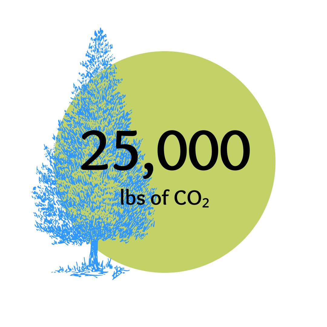 Maple tree impact graphic
