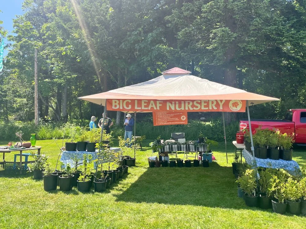 Big Leaf Nursery Market Days