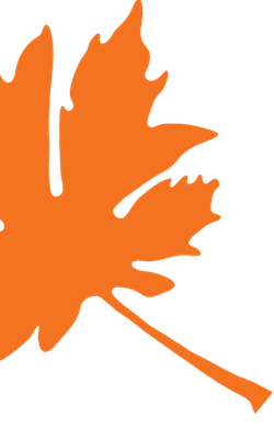 Big Leaf Nursery leaf graphic