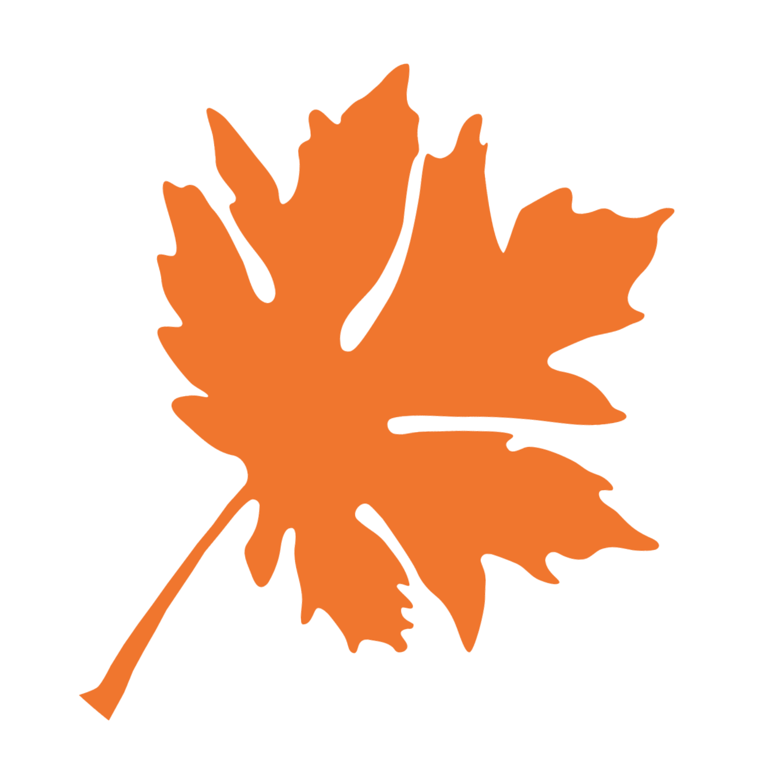 Big Leaf Nursery leaf graphic