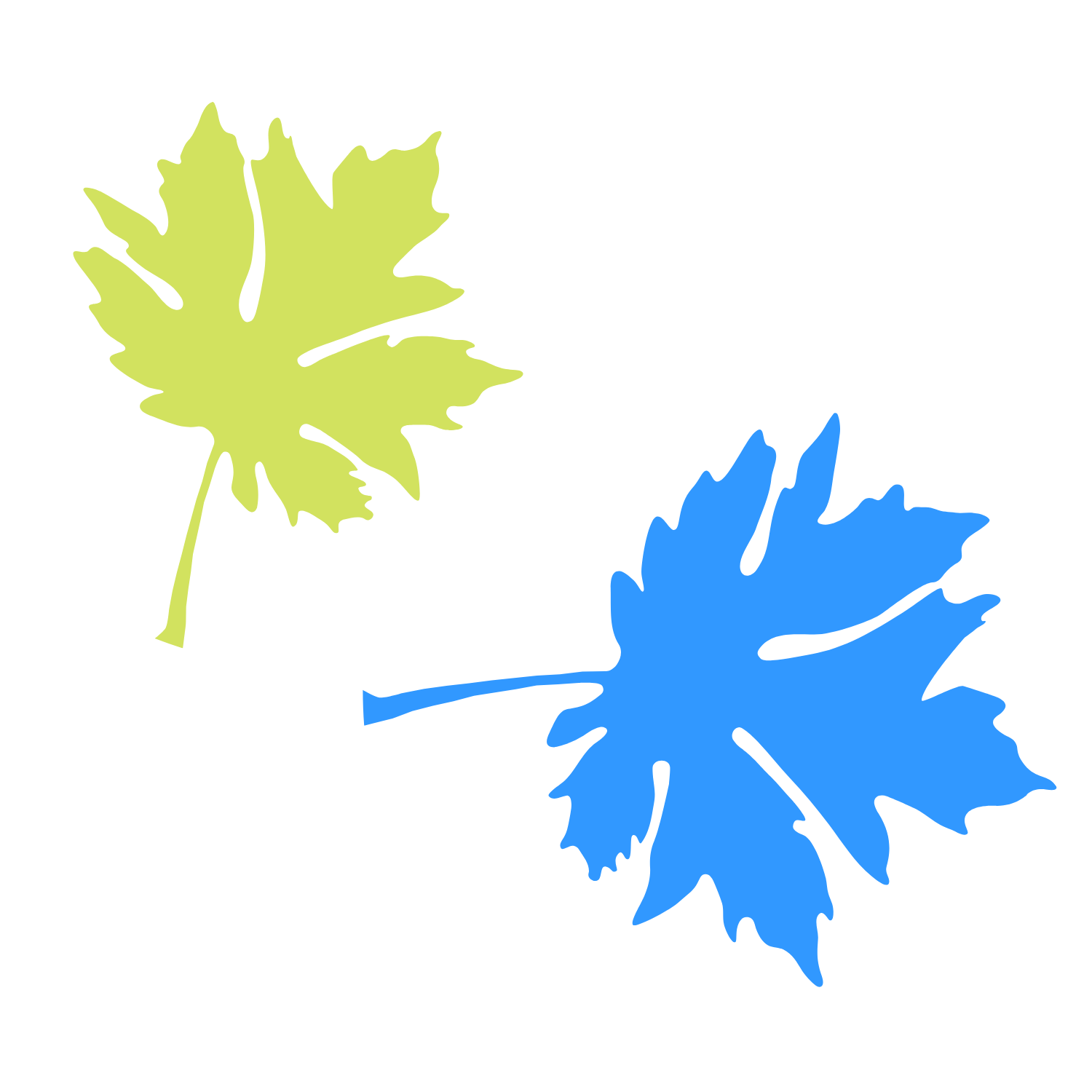 Big Leaf Nursery leaf graphic