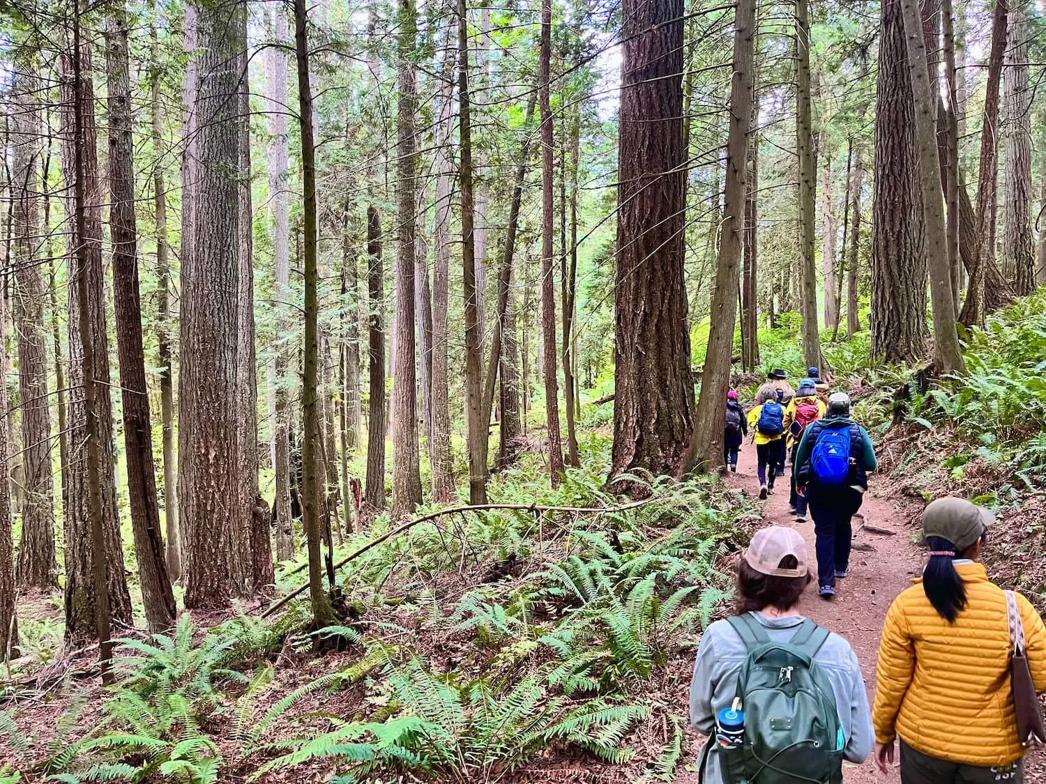 Big Leaf Nursery leading group on a plant hike