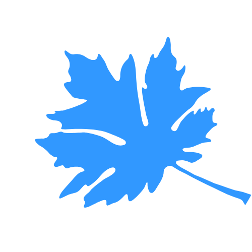 Big Leaf Nursery leaf graphic– Bellingham, WA