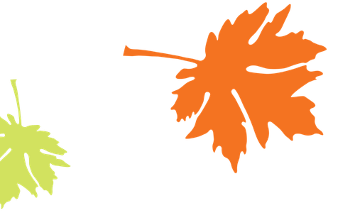 Big Leaf Nursery leaf graphic– Bellingham, WA