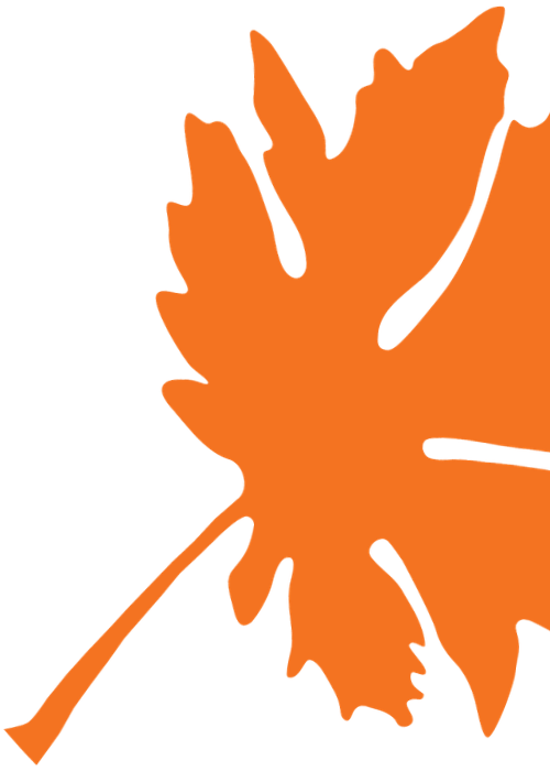 Big Leaf Nursery leaf graphic– Bellingham, WA