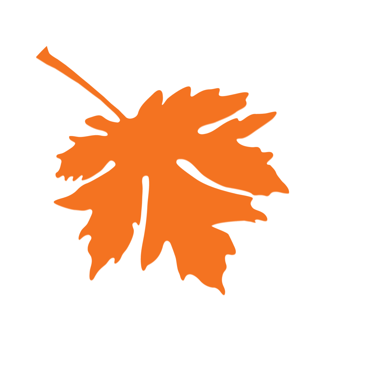 Big Leaf Nursery logo