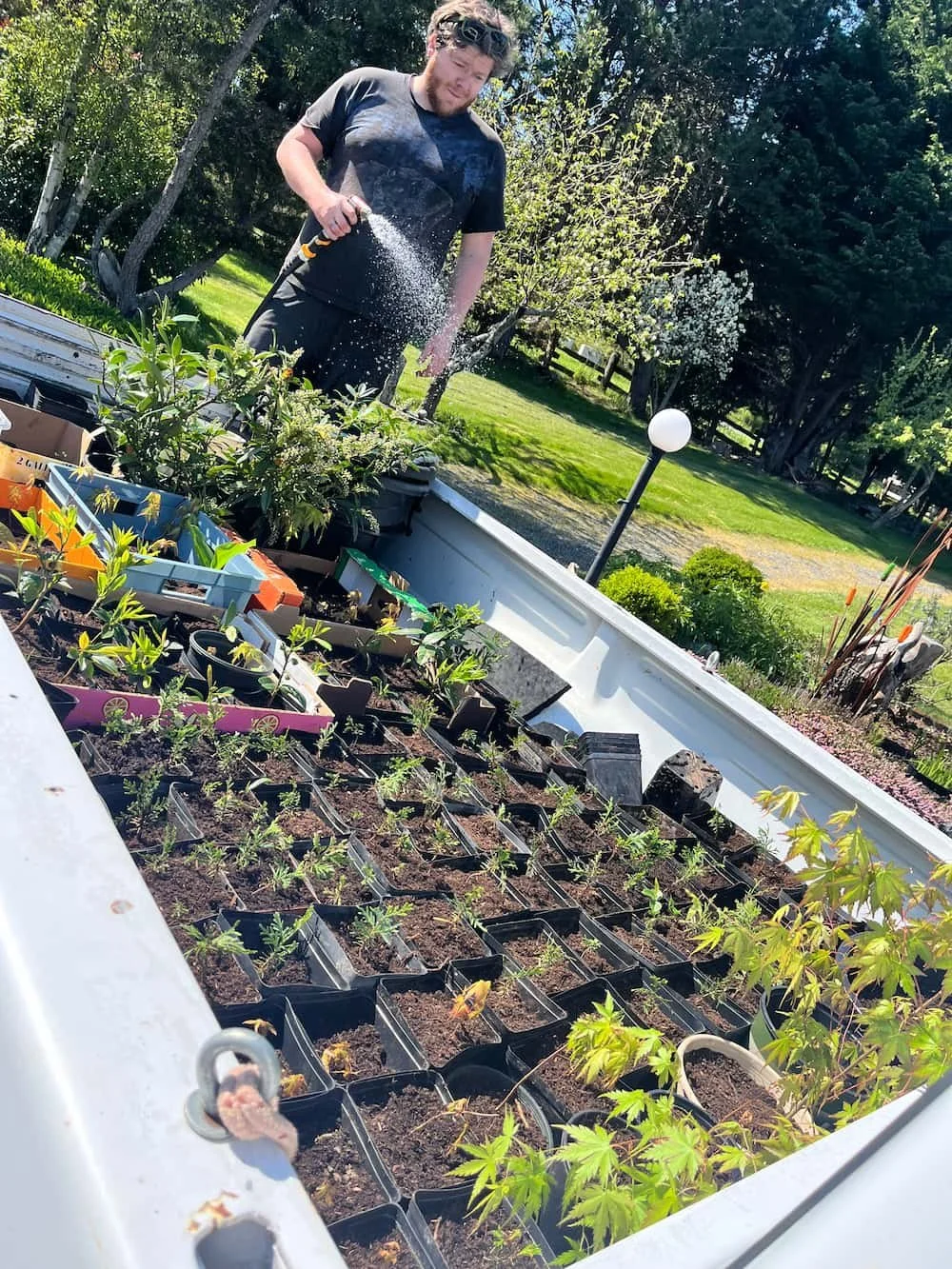 Avery Wolfe, Executive Director of Big Leaf Nursery