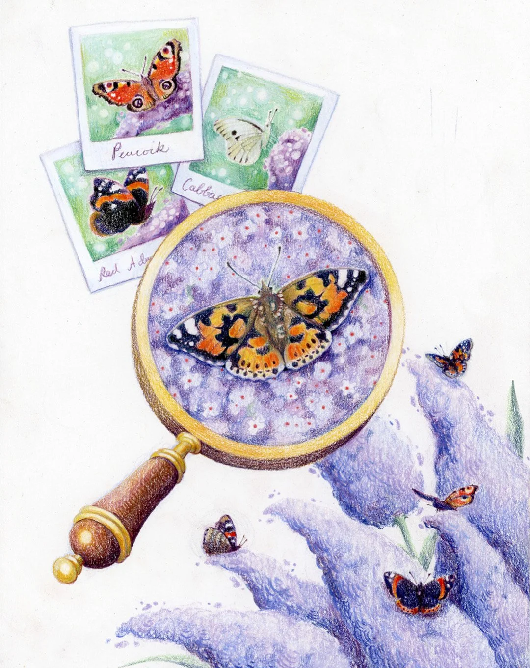 06 Dancing Butterflies2.jpg