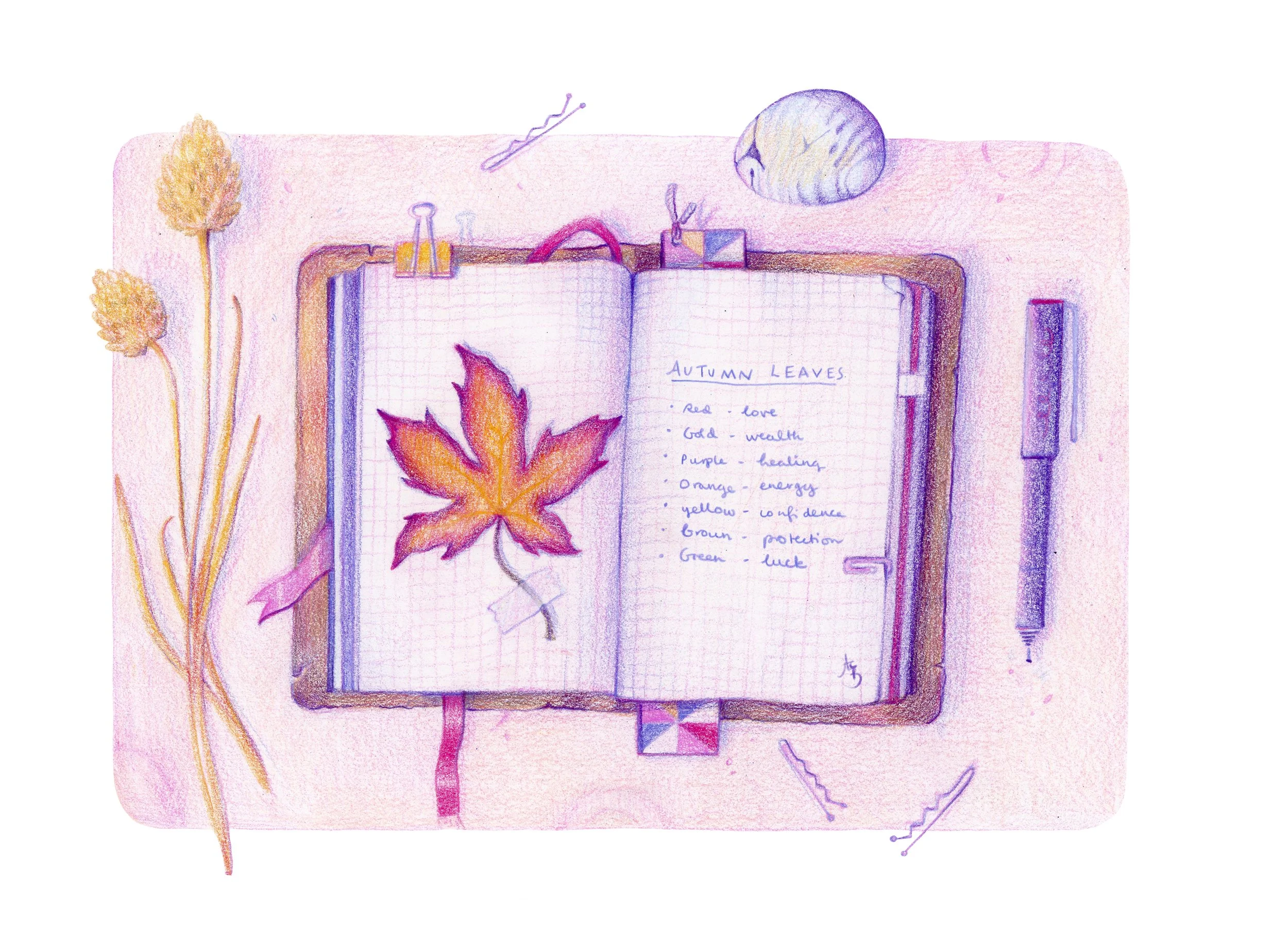 Amy Brownlee Autumn Notebook copy.jpg