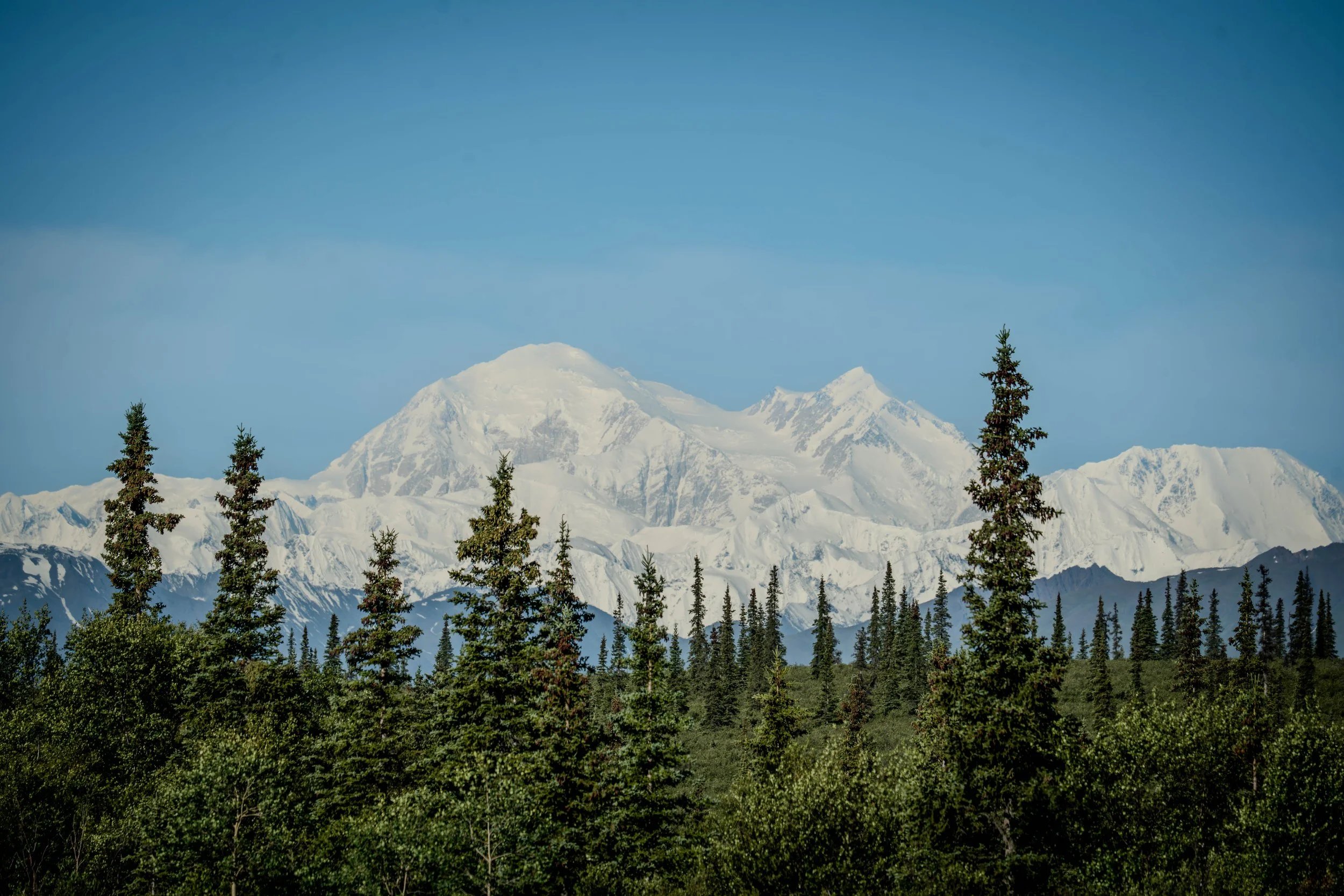DSC05715-2.jpg