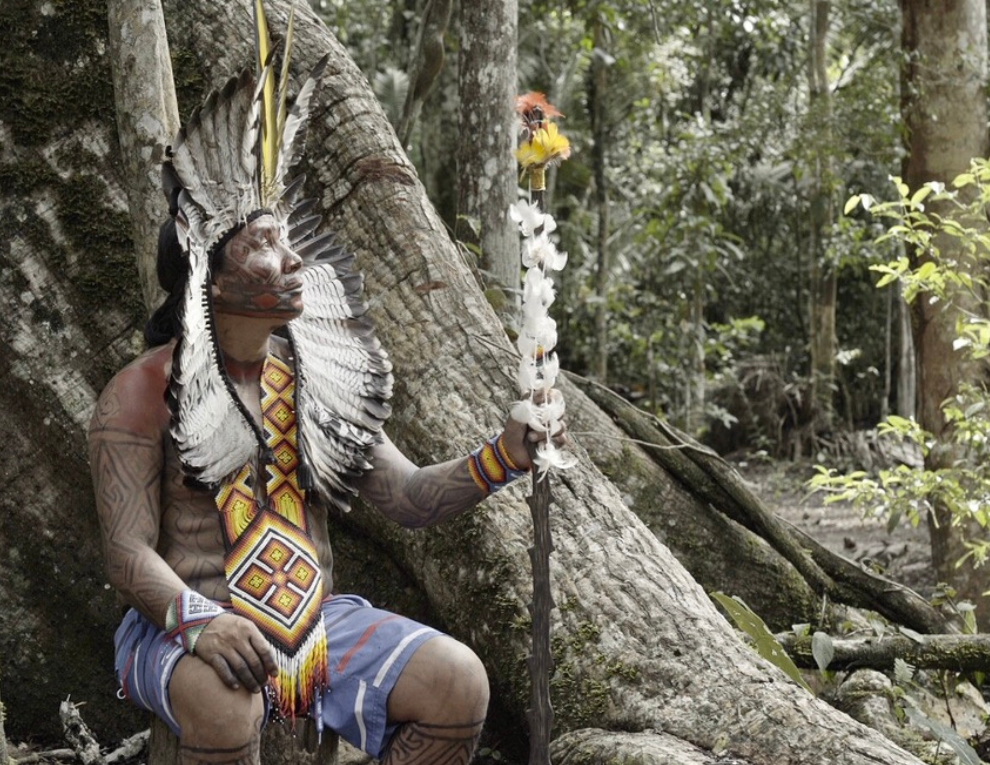 Bringing Essential Infrastructure to the Huni Kuin