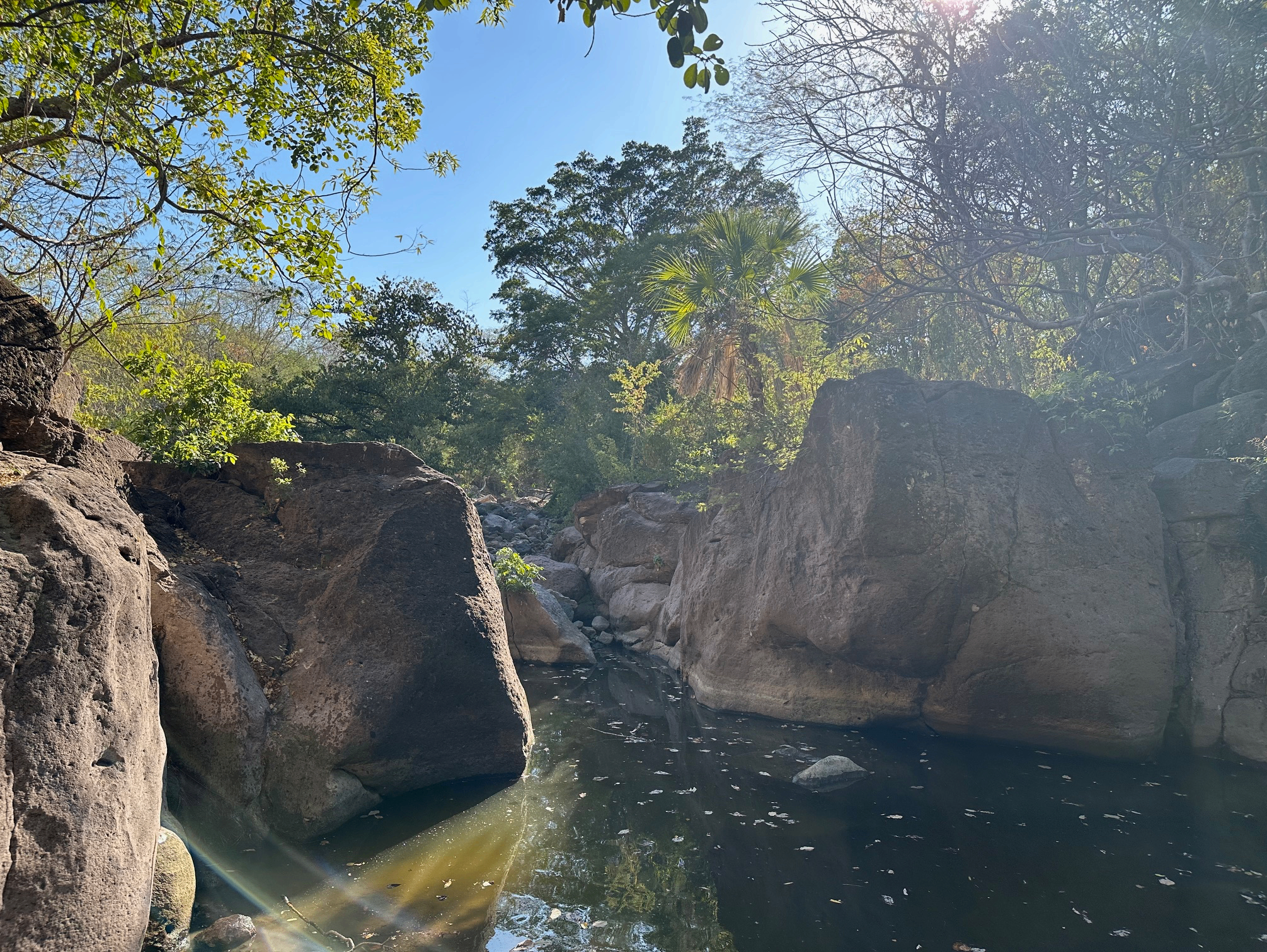 Rematriate Sacred  Aztec Site in La Noria