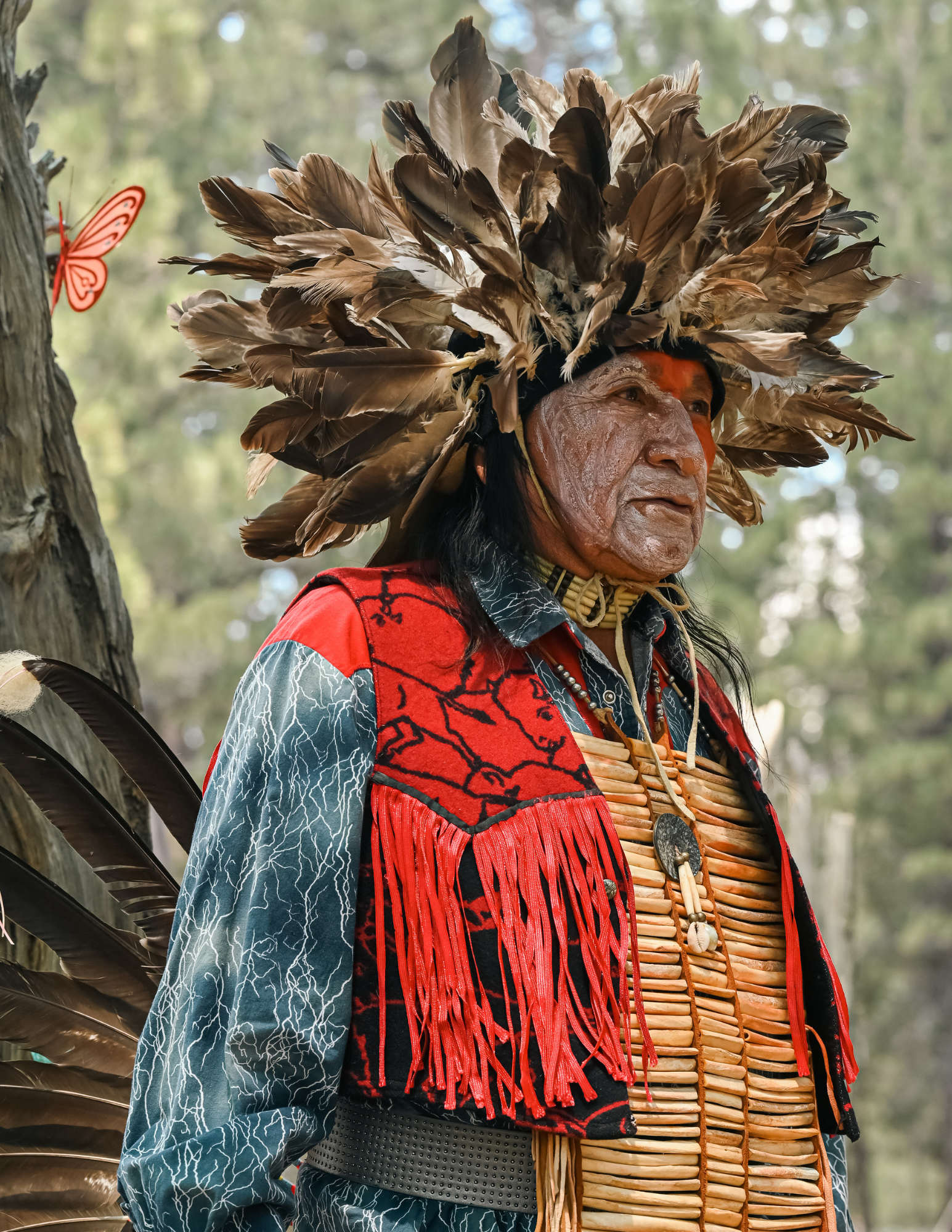 Native American Fund, United States