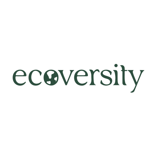 The image features the word 'ecoverity' with the 'o' designed as a globe, suggesting an environmental or ecological theme.