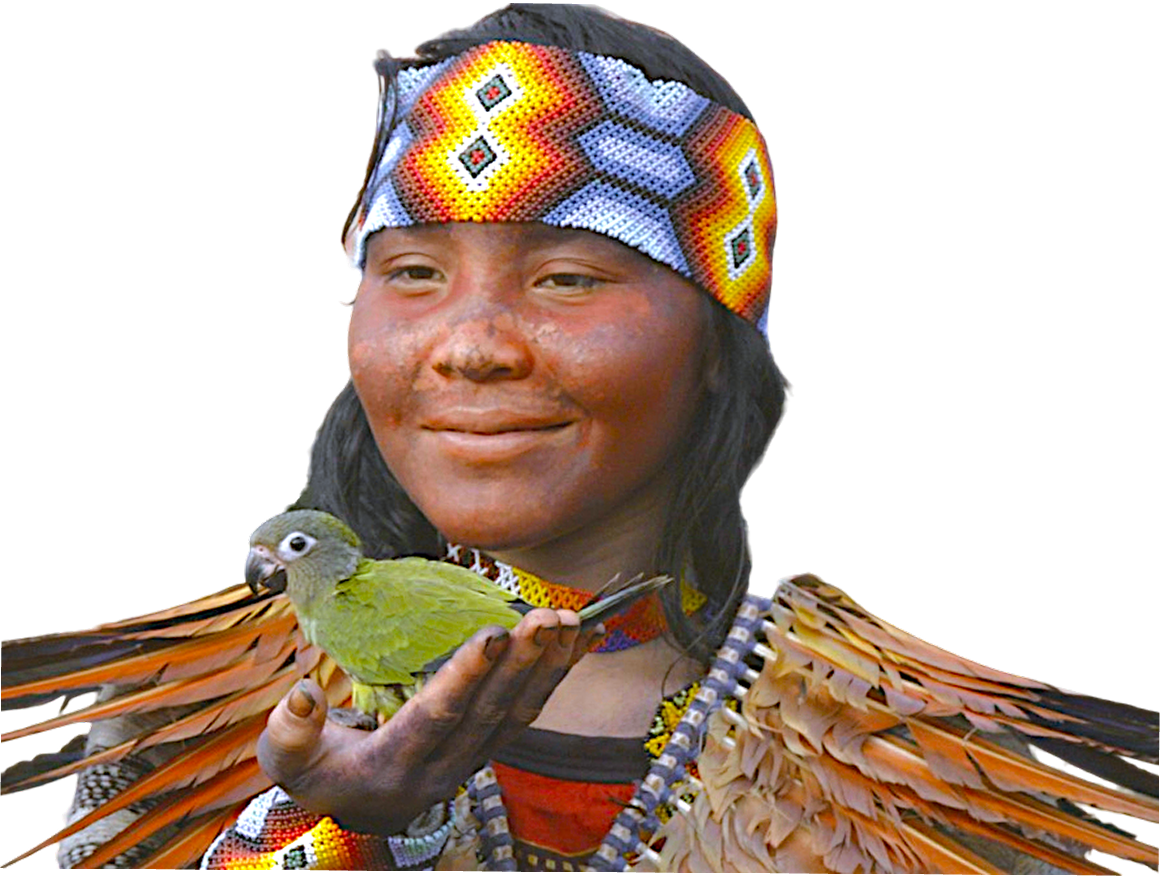A person wearing traditional Native American clothing, including a beaded headband and feathered garments, holding a green bird on their hand.