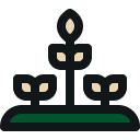 Plant with three smaller plants around it, on a green surface.