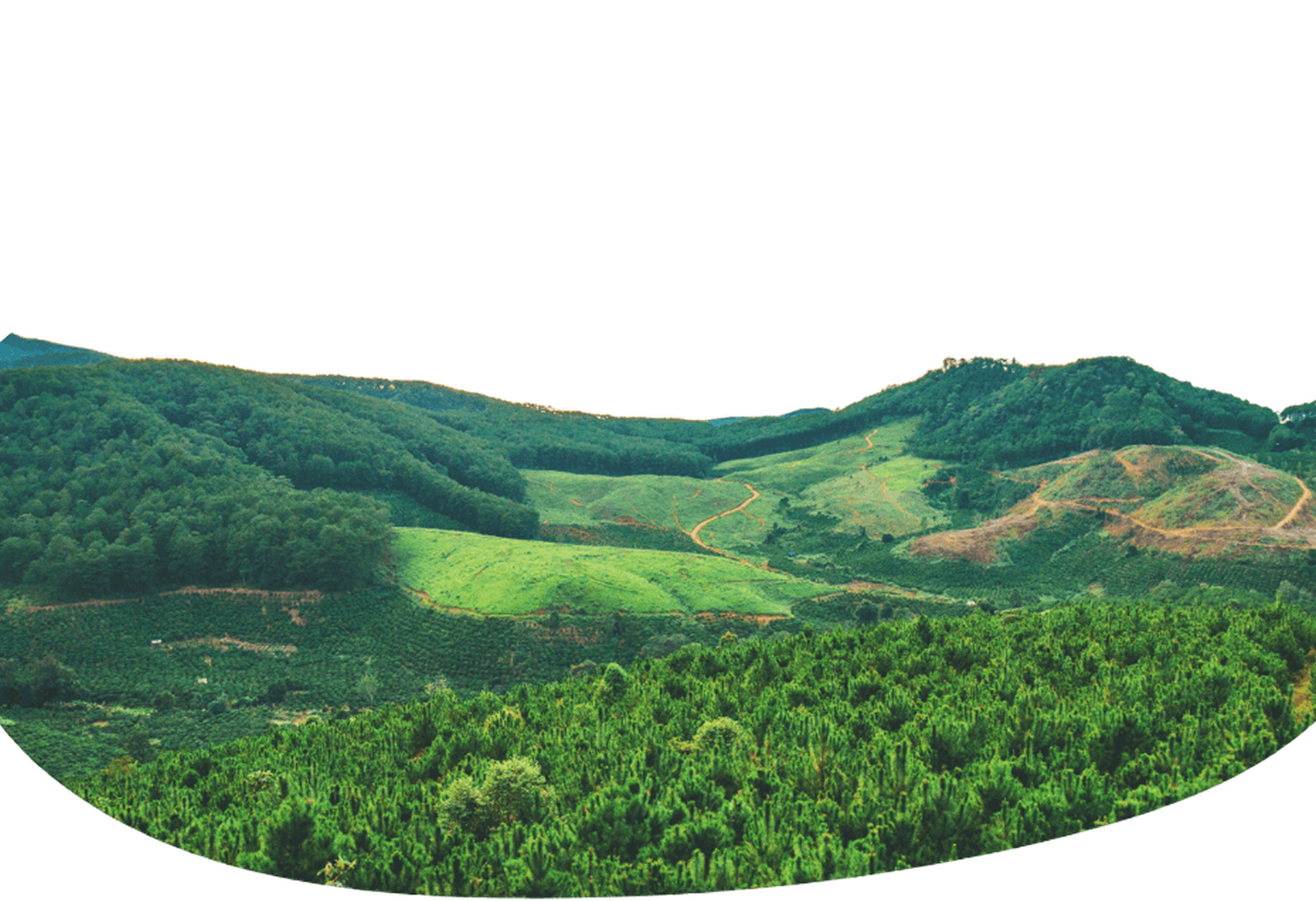 Green hilly landscape with forested and cleared areas under a cloudy sky.