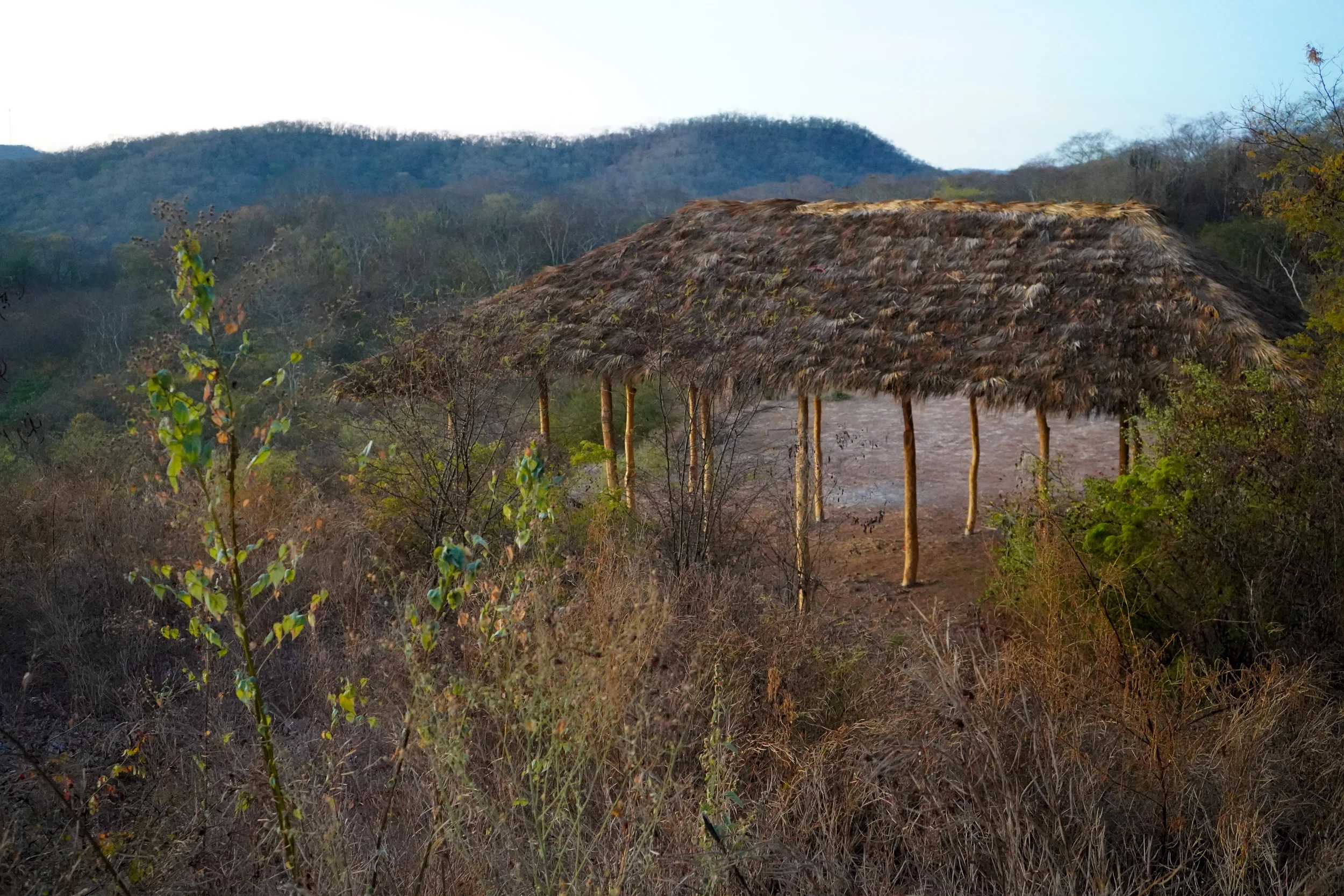 A thatched-roof hut on wooden stilts in a dry, brushy landscape with sparse trees and distant hills.