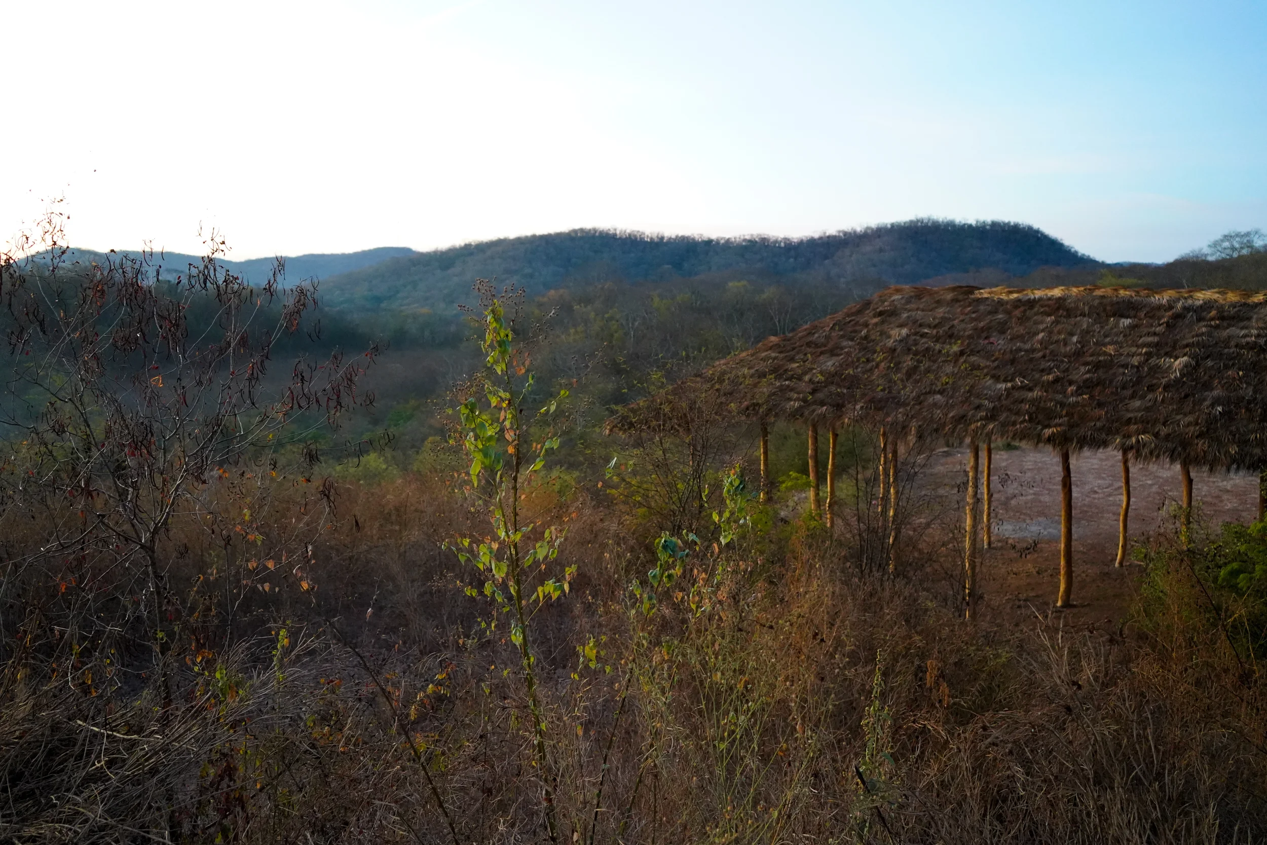 A rural landscape with dry bushes and small trees in the foreground, a thatched roof hut on stilts to the right, and rolling hills in the background under a clear sky.