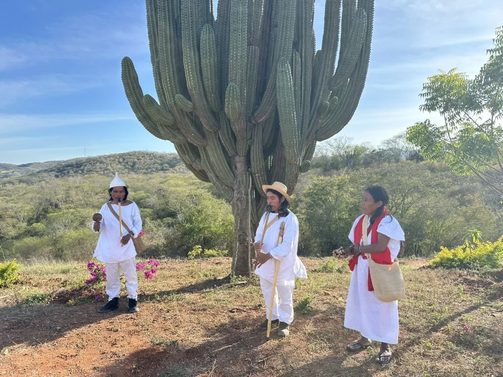 Three women dressed in traditional white clothing with a white hat, straw hat, and red sash, standing under a large cactus tree in a rural landscape with hills and greenery.