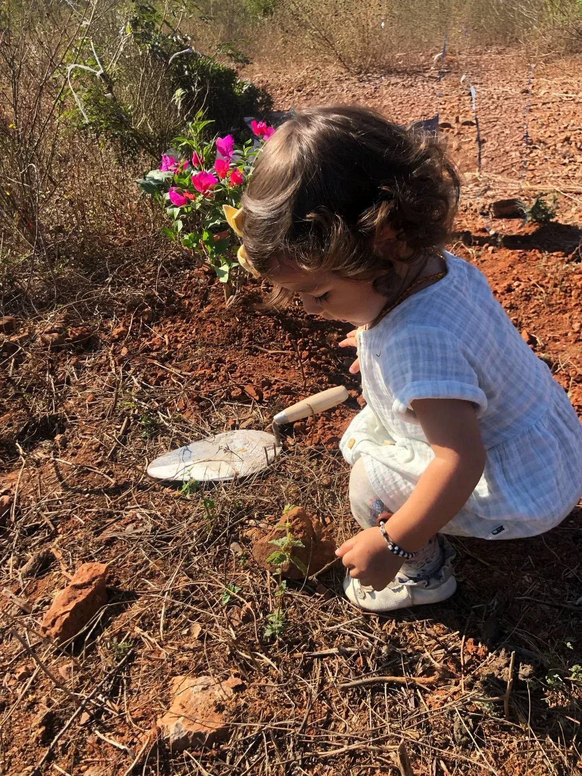 A young girl with curly hair, wearing a white dress and sneakers, crouches near the ground, planting a small seedling with a gardening trowel nearby, in a garden with pink flowers and dry ground.