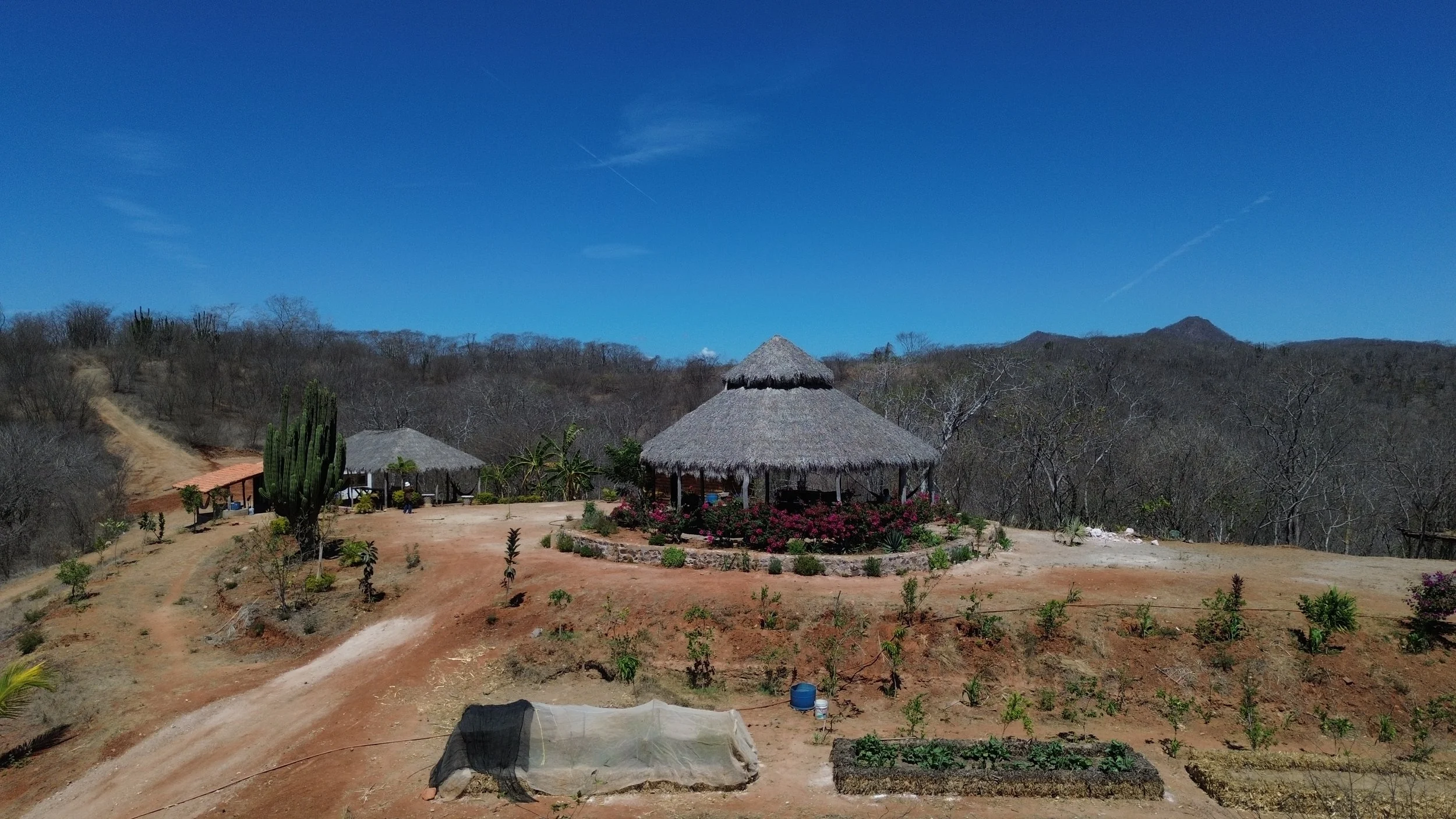 DJI_0819.JPG