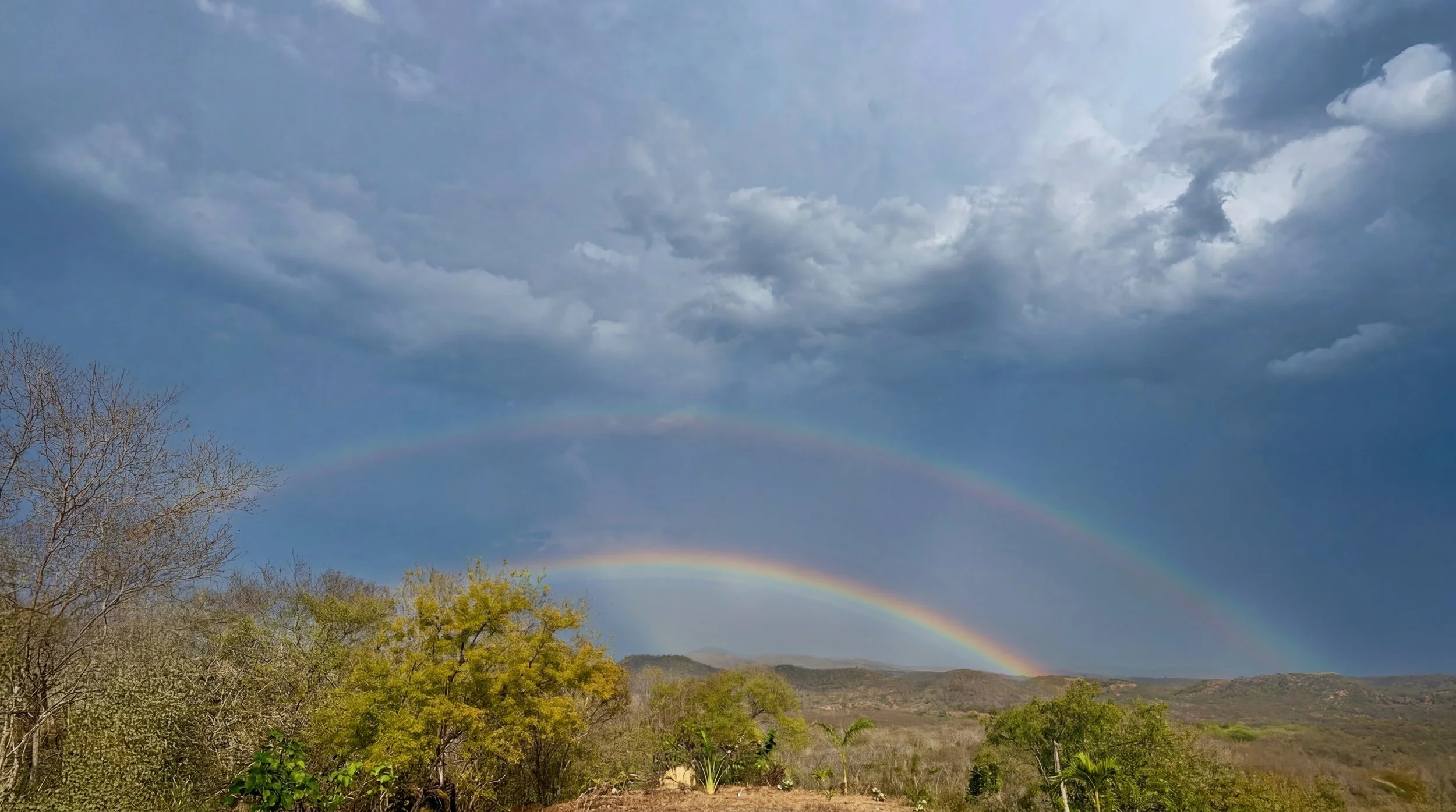Rainbow3_Firefly.jpeg