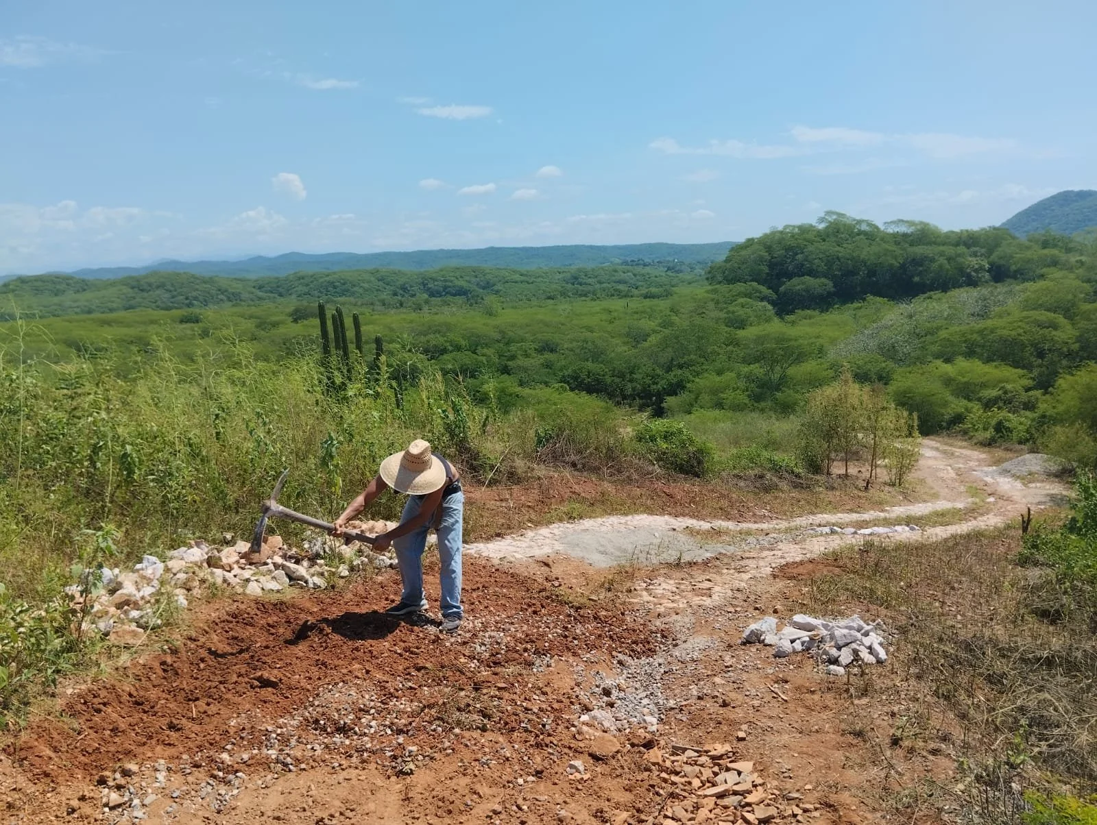 Farmer working on a dirt path with a pickaxe in a lush green rural landscape with trees and hills under a partly cloudy sky.