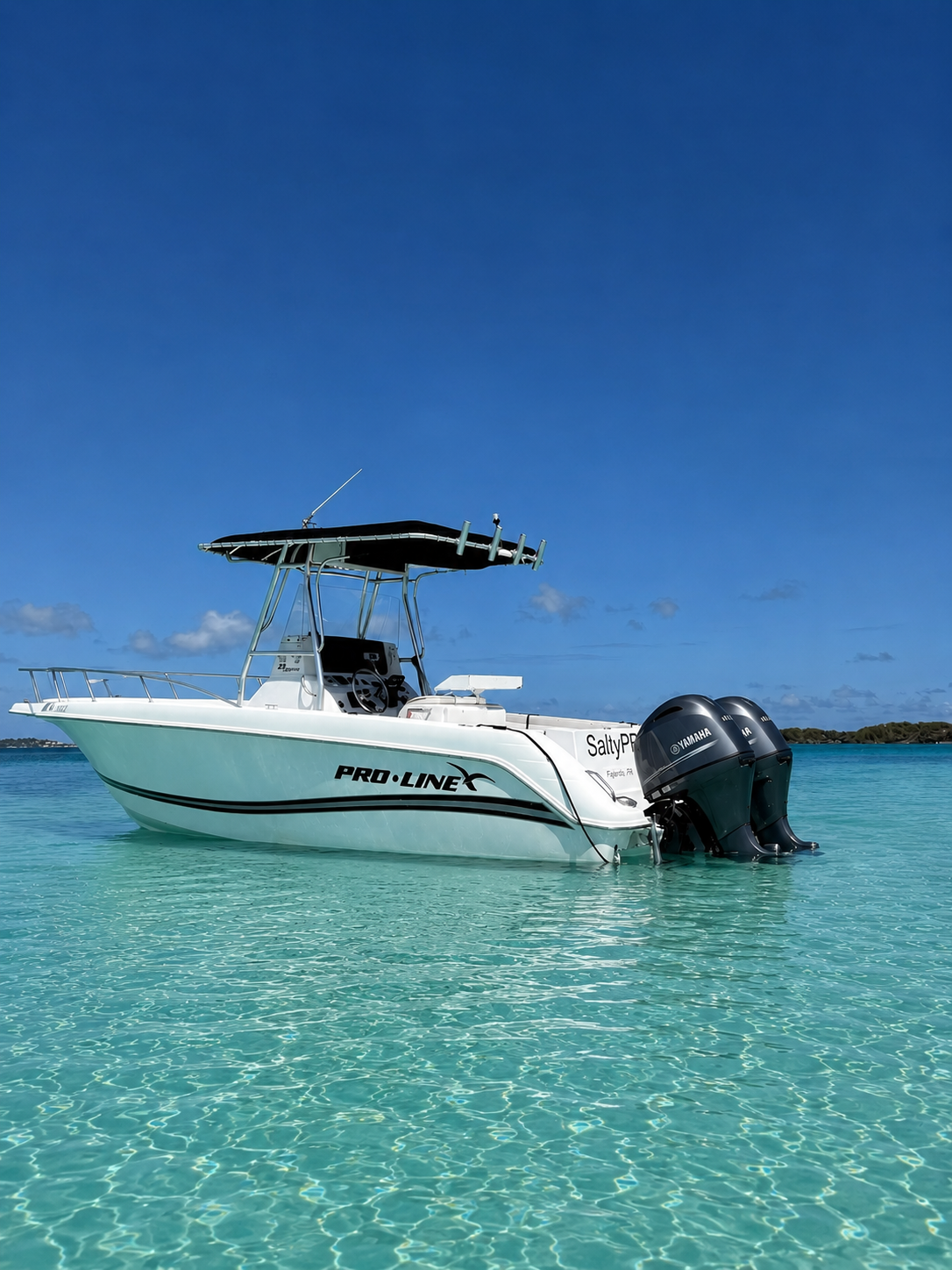 Proline 23’
