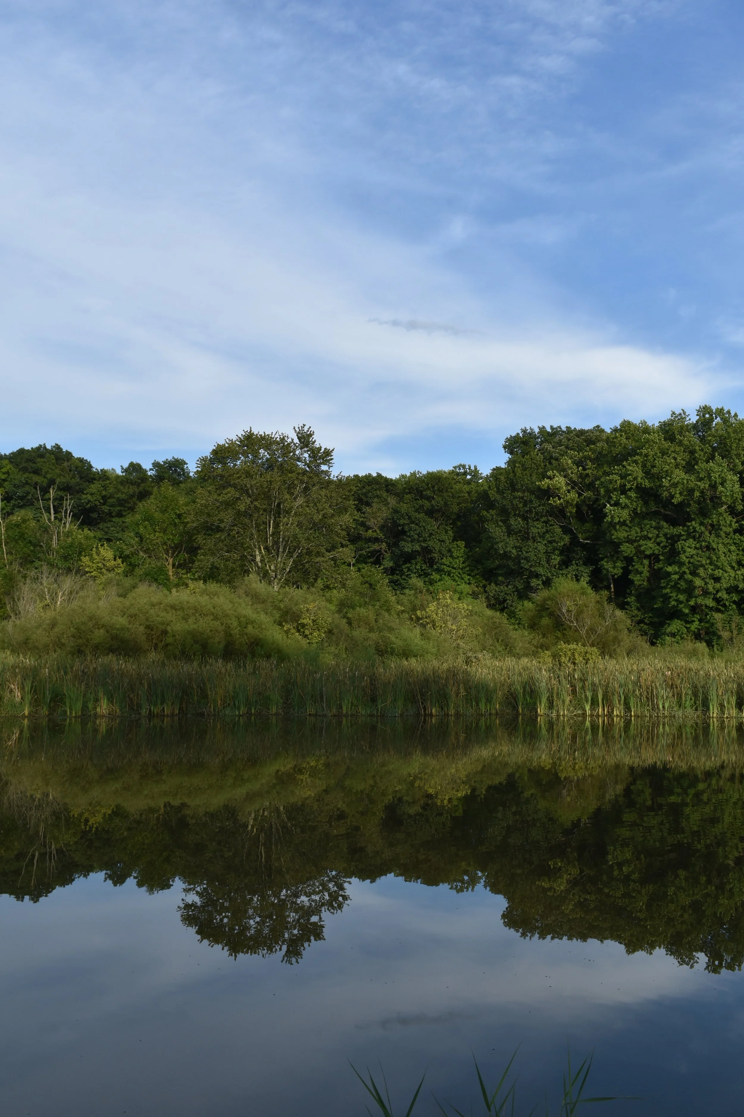 DSC_0220.JPG
