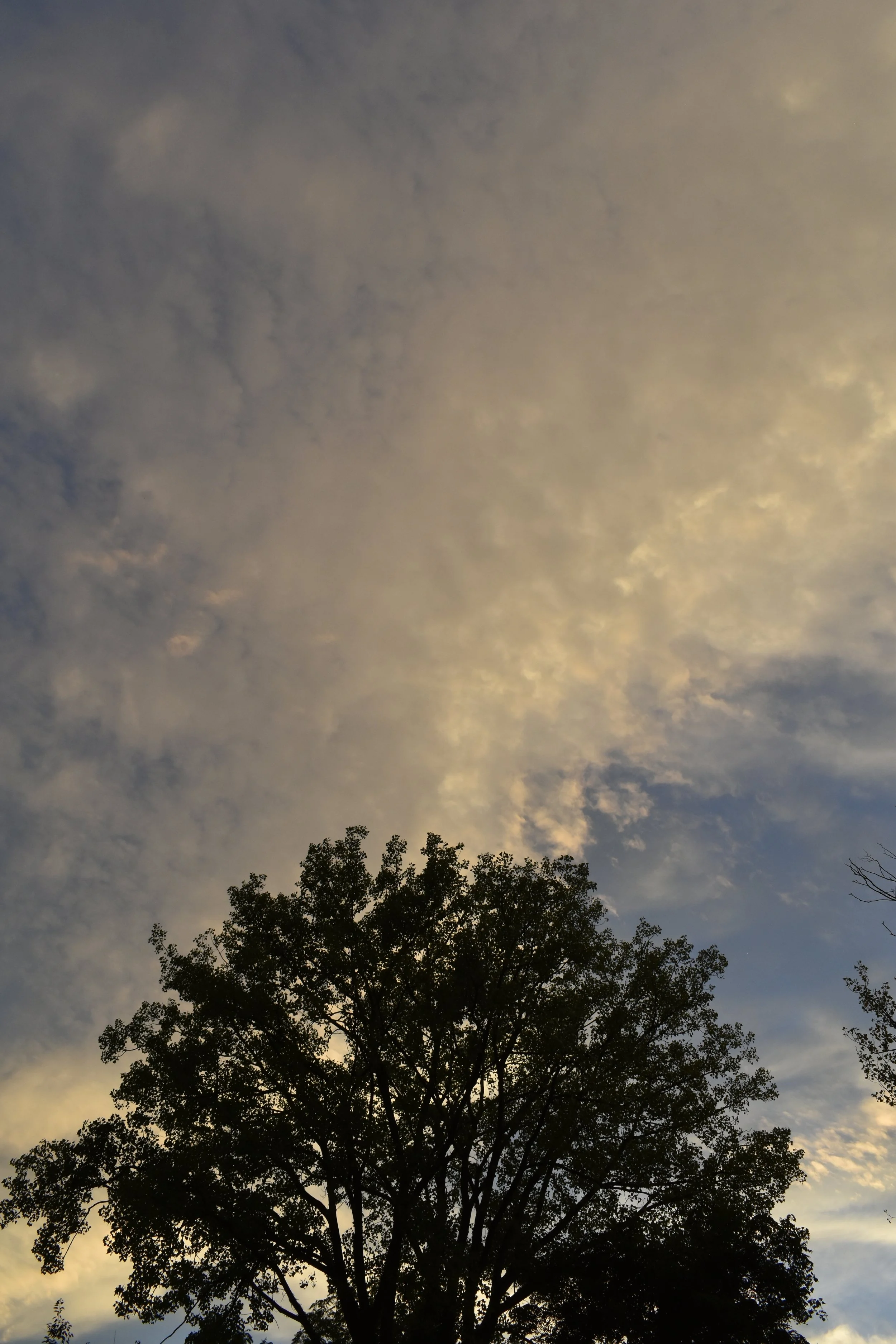 DSC_0240.JPG