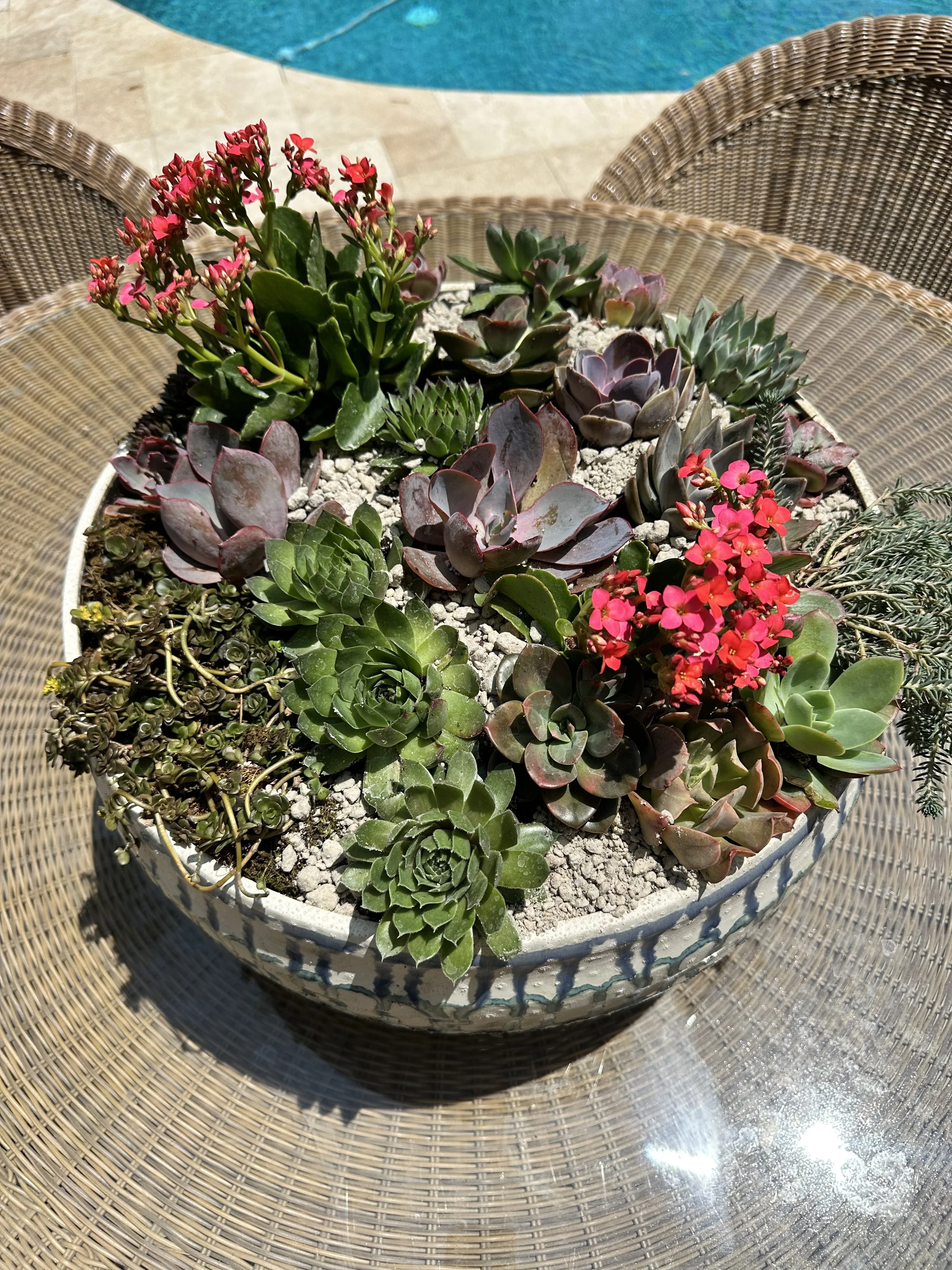 Living Centerpiece