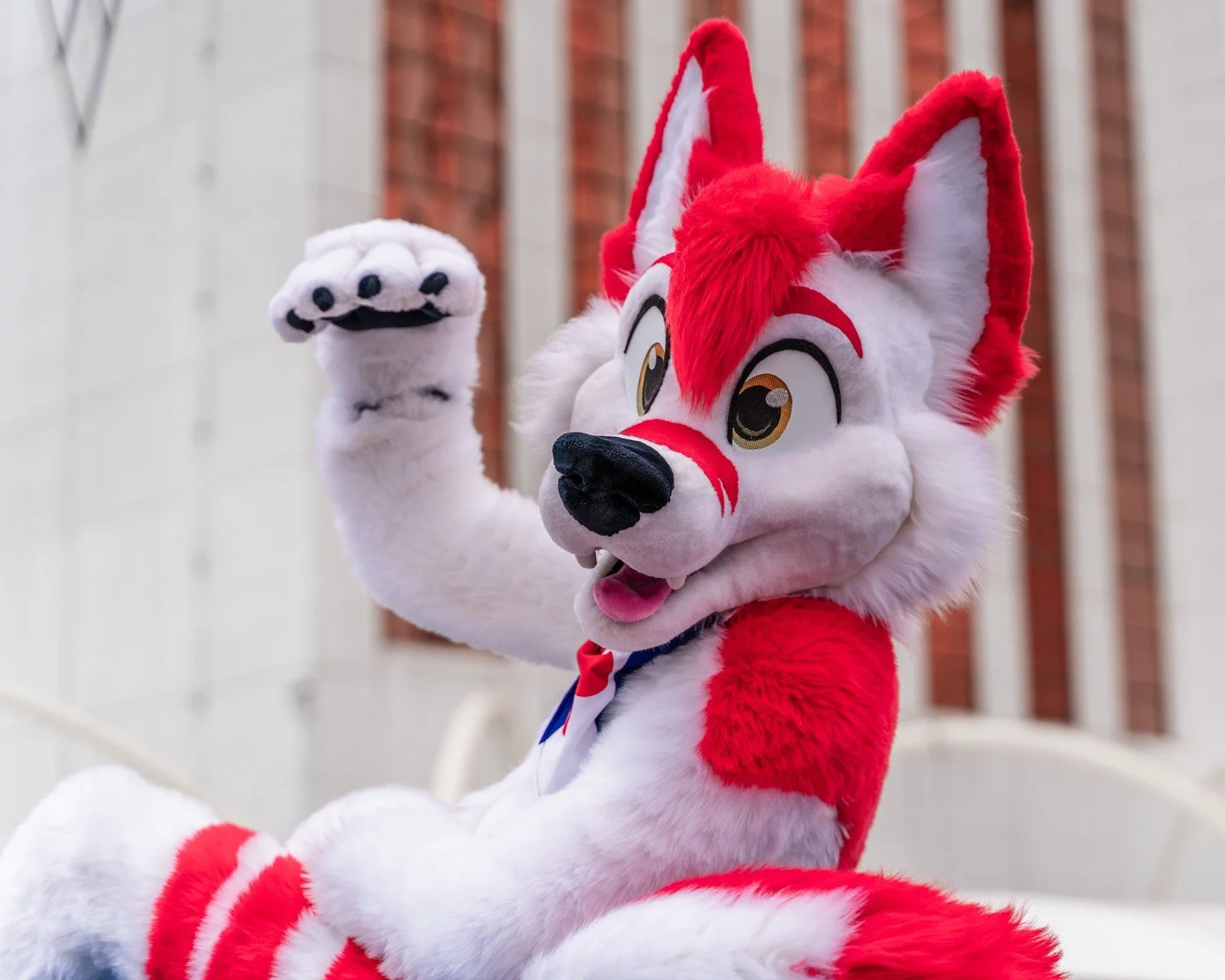Give me paw.jpg