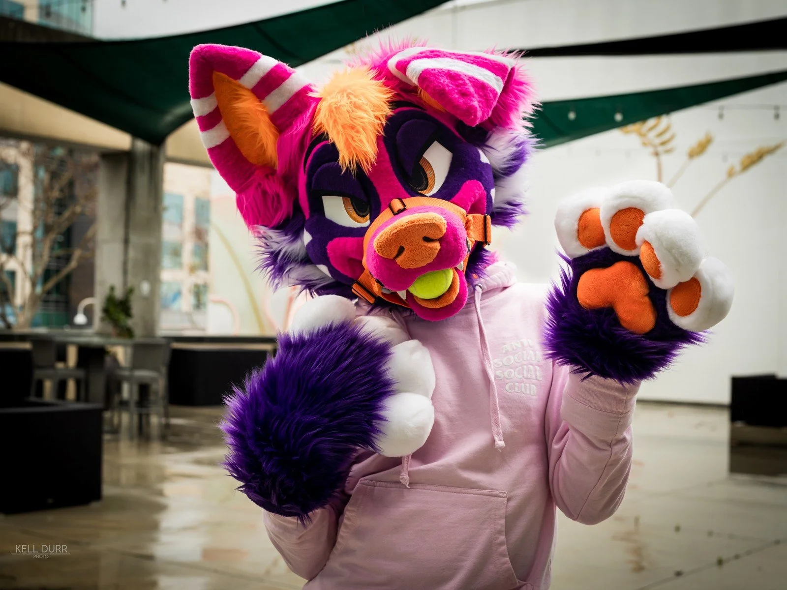 Paws by WildCatCostumes