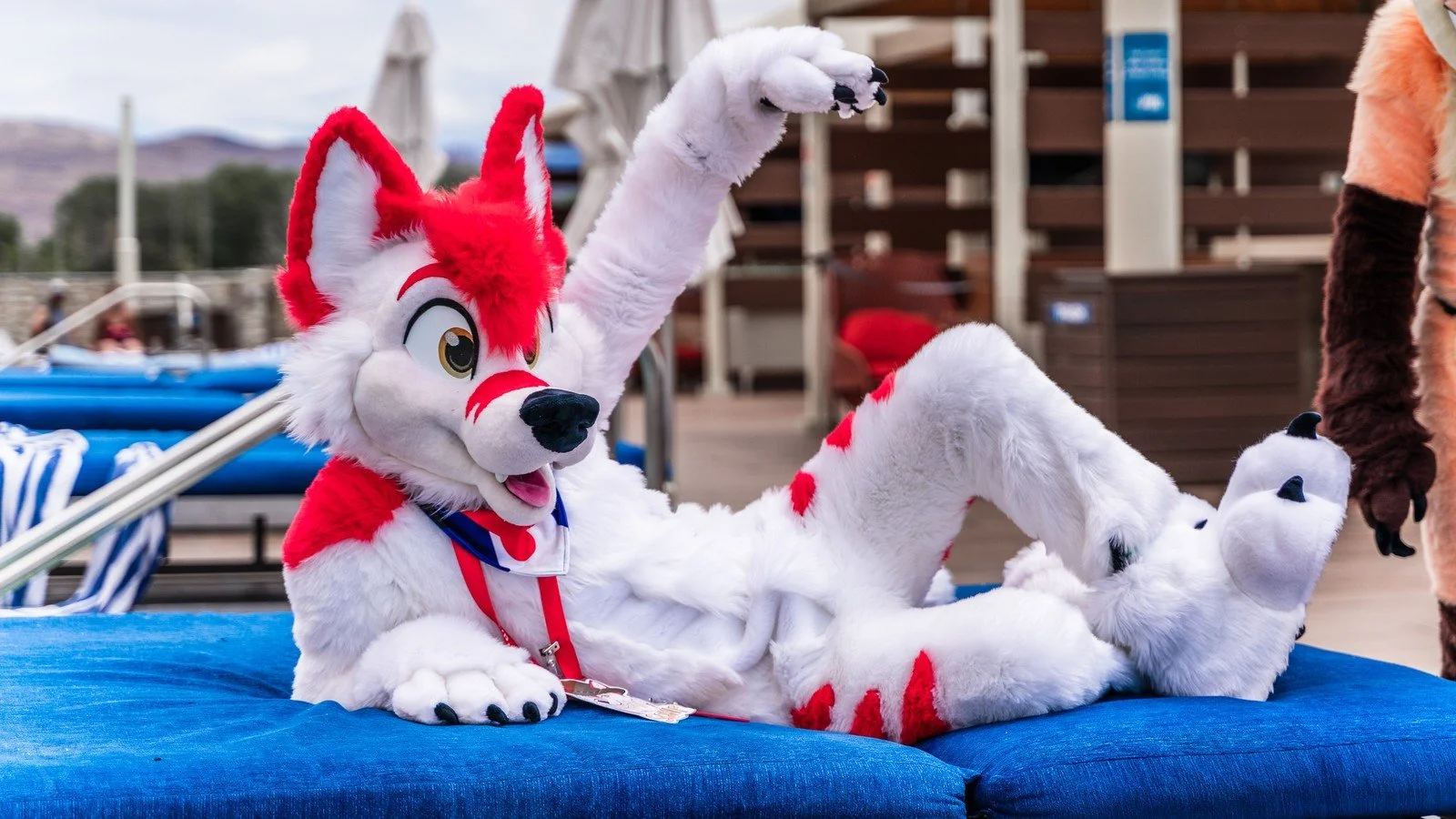 Laid back.jpg